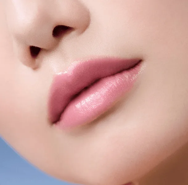 ETVOS 2025 HOLIDAY COLLECTION│《公式》エトヴォス 2025 ホリデー