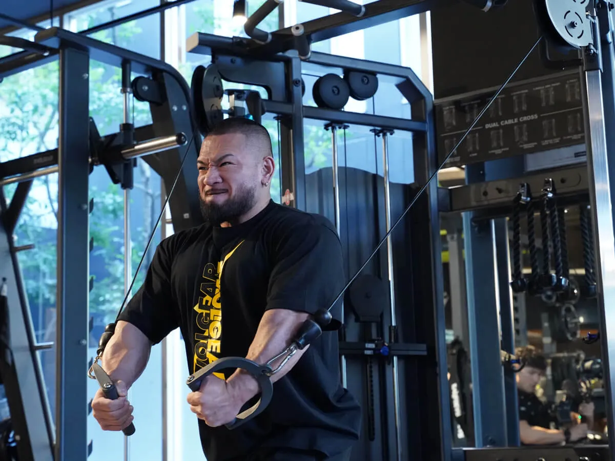 evc-117a | EVOLGEAR（エヴォルギア）