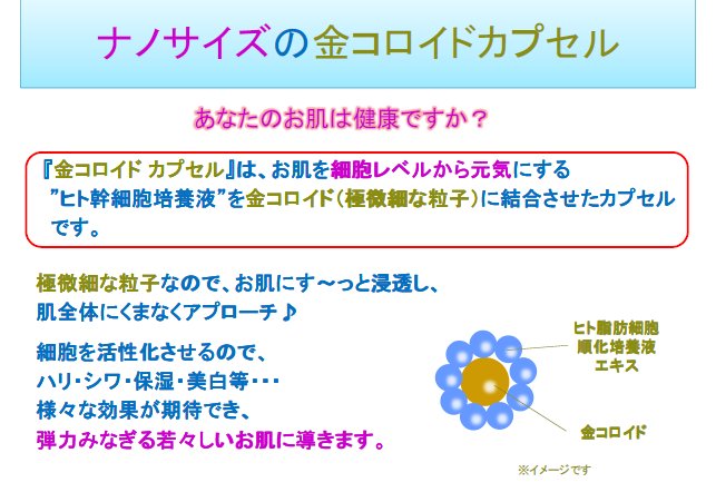 EXAモール エキスパートアライアンス株式会社
