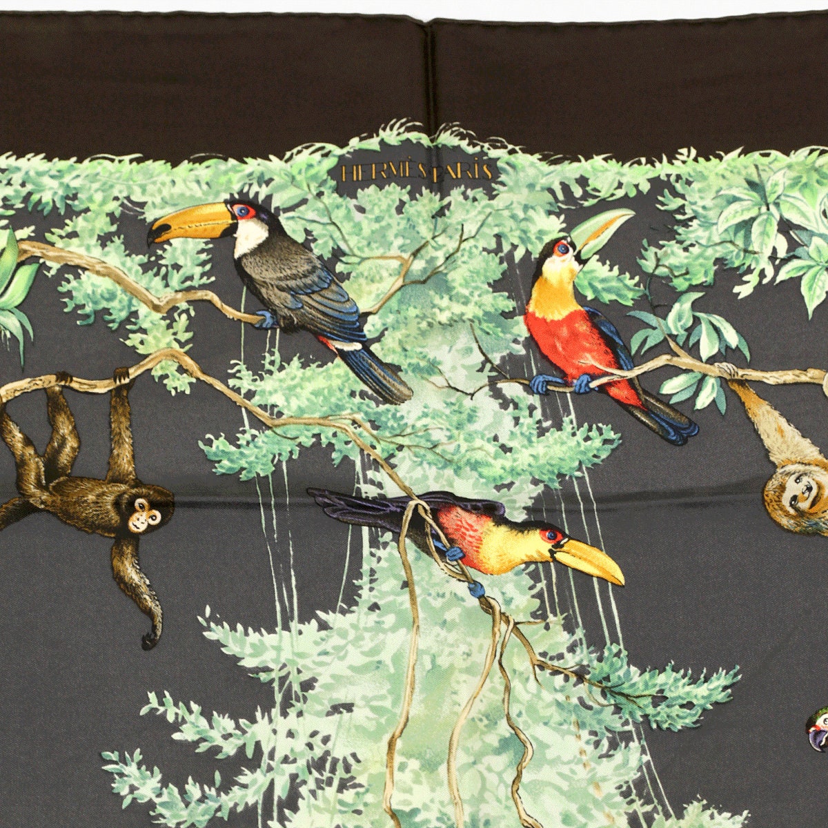 Hermes Scarf 