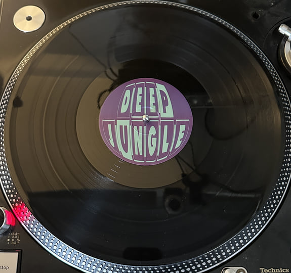 THE SKULL DISK NATURE TONES × DAMNGOOD THE SKULL DISK NATURE TONES