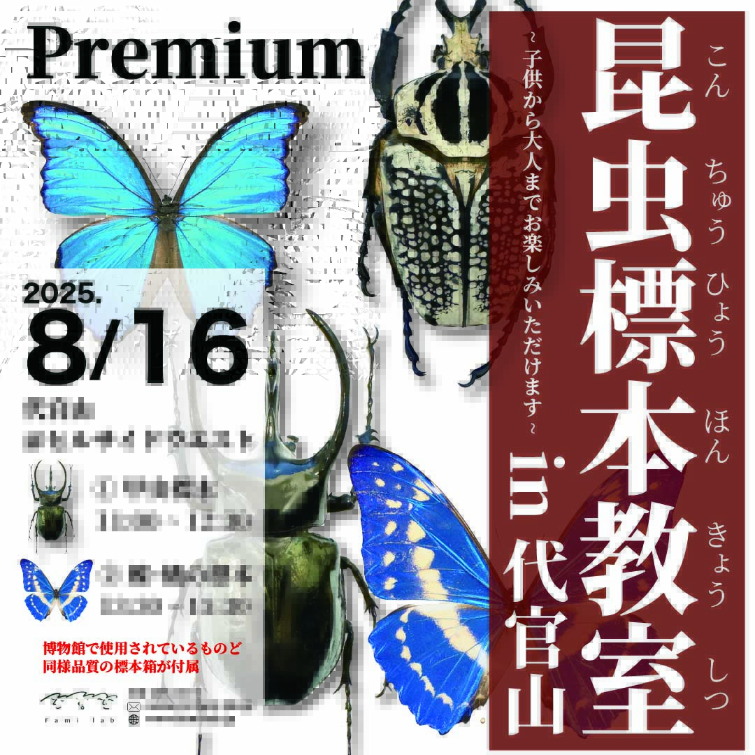 予約受付中】 昆虫教室 in 代官山（ 8/16 土曜日 ) - Fami-lab