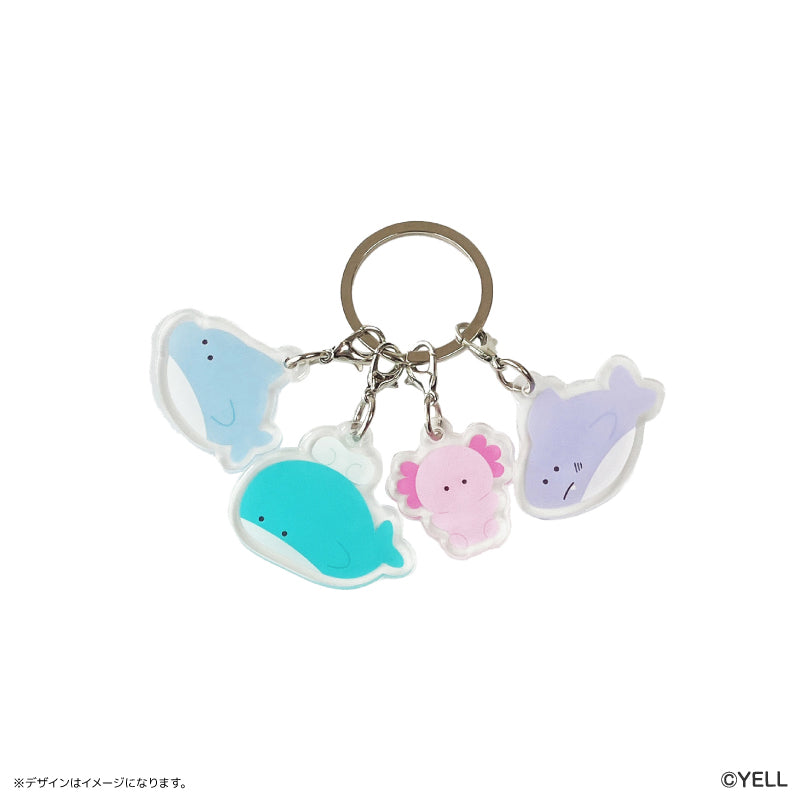 つぶらな瞳の仲間達 仲間達キーホルダー つぶらな瞳の水族館 – FAN+Life
