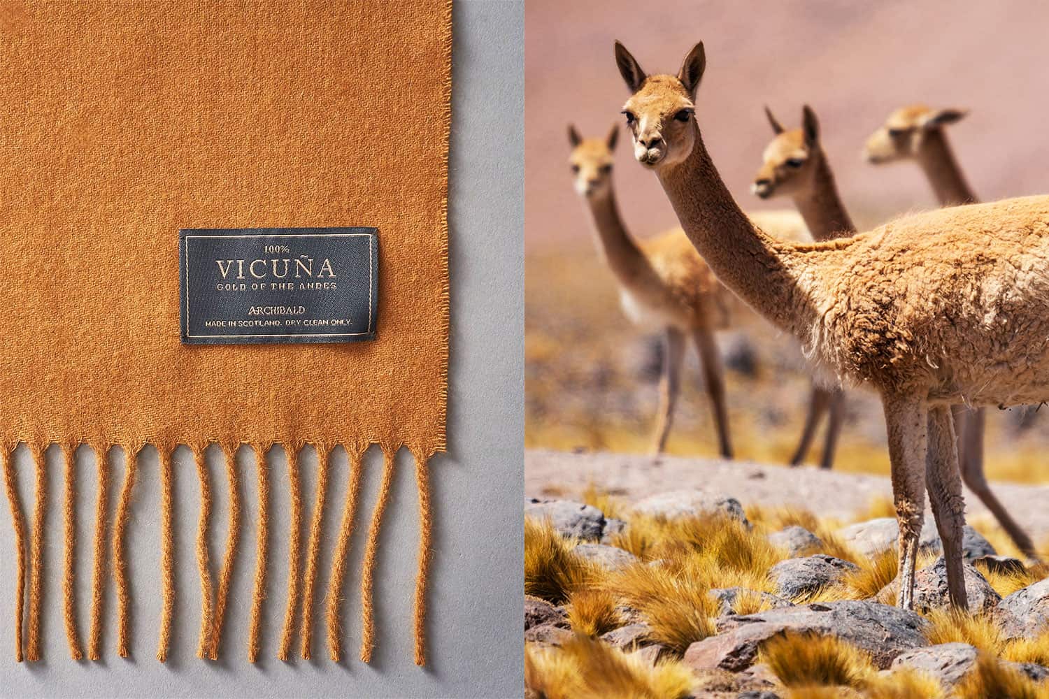 Archibald London Is Disrupting the Luxury Market One $6000 Scarf