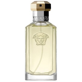 Mind's Mirror Oakcha perfume - a fragrance for women and men