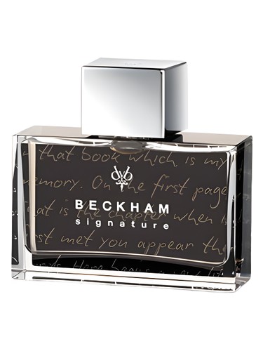 Signature Story for Him David Beckham cologne - a fragrance for