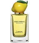 Pineapple Dolce&Gabbana 香水- 一款2020年中性香水