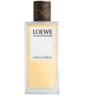 Prado Loewe perfume - a new fragrance for women and men 2024