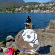 Valentina Acqua Floreale Valentino perfume - a fragrance for women
