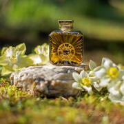 Vol de Nuit Extract Guerlain 香水- 一款1933年女用香水