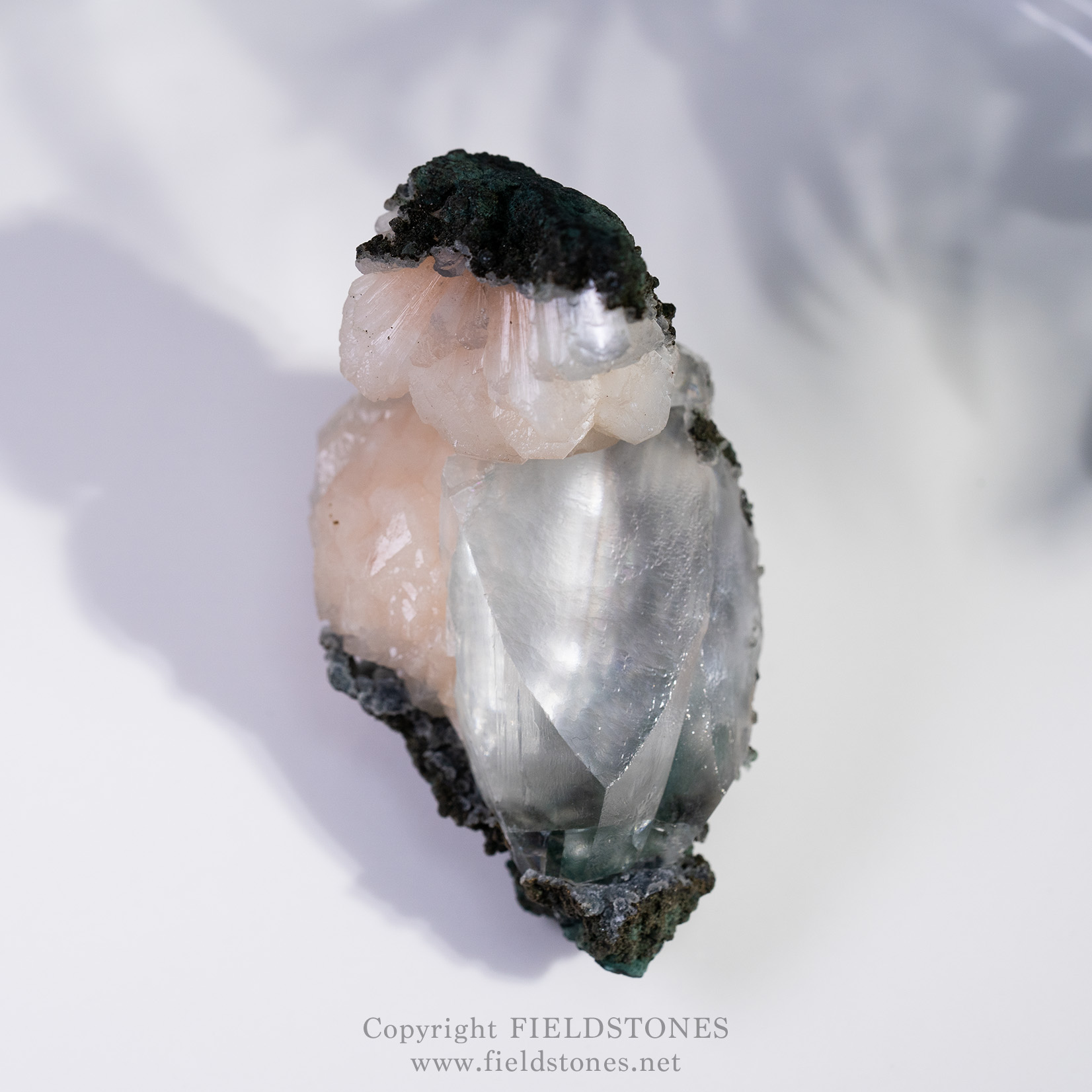 なんだこりゃ？が面白い！カルサイト・スティルバイト共生標本・インド