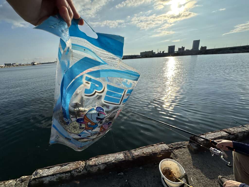 汐見埠頭朝のリアルタイム | フィッシングマックス 関西の釣果|大阪
