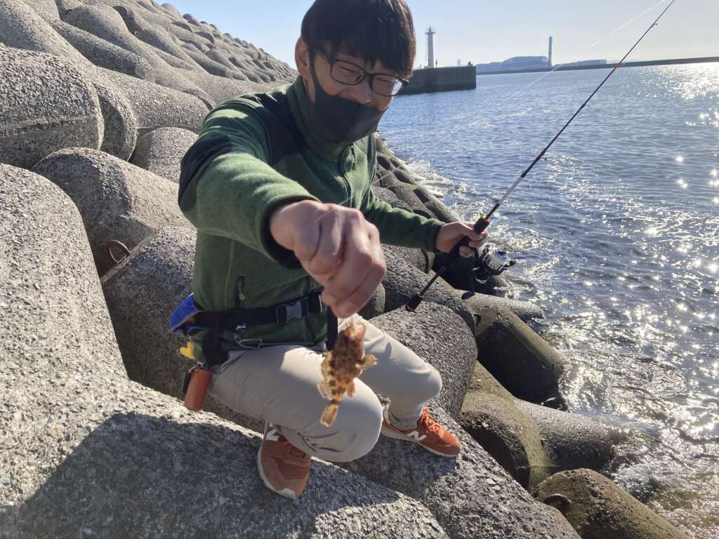 穴釣りガシラはこのエサで！ | フィッシングマックス 関西の釣果|大阪
