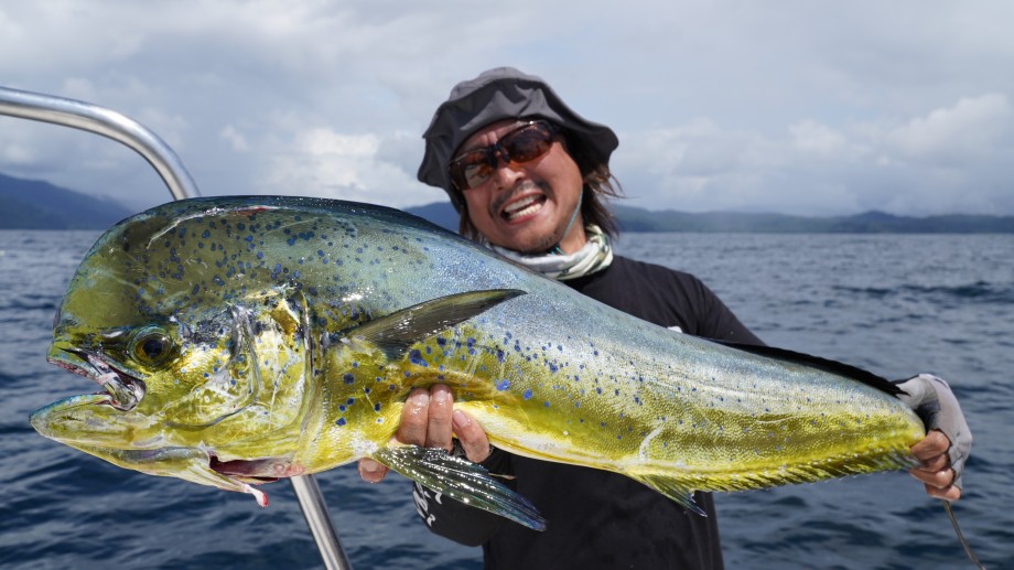 2021年新商品 BC4 5.10H、5.10L、8.0MH 発売中！ - Fishman