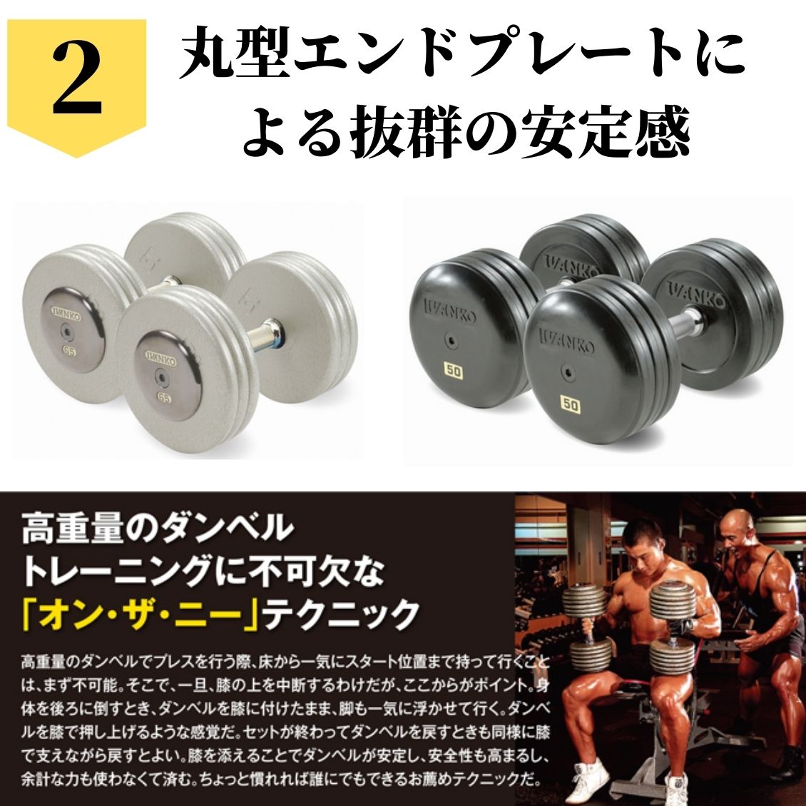 ①ivanko ジム用ラバーダンベル24kg ゴールドジム アイロテック