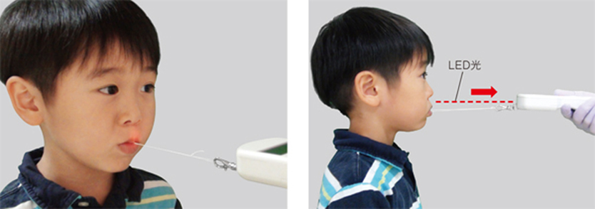 製品詳細「りっぷるくん」 | フォルディネット