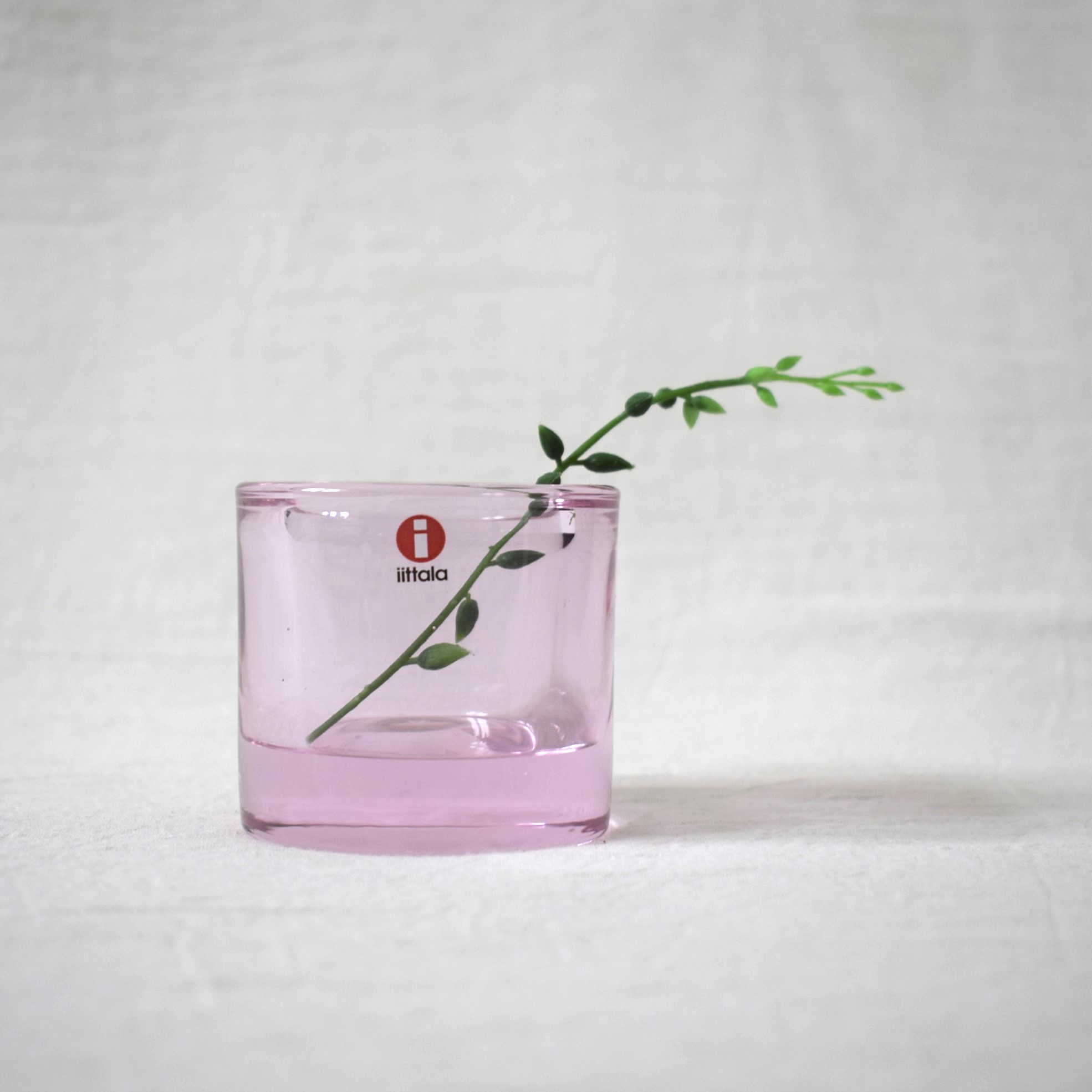 Kivi・キビ / ペールピンク・キャンドルホルダー / Iittala・イッタラ