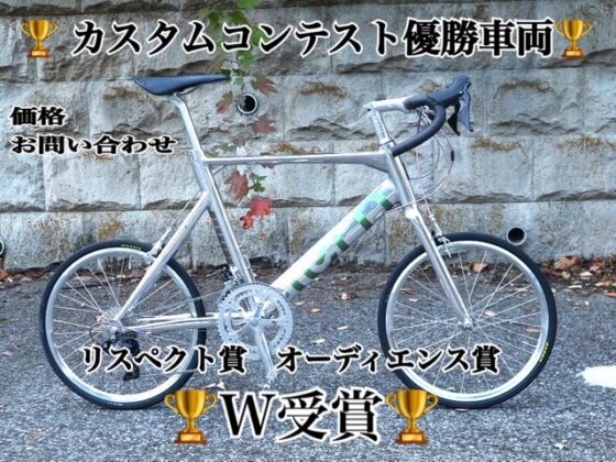 tern SURGE - ミニベロ (小径車) 専門店 Flamebike 渋谷店