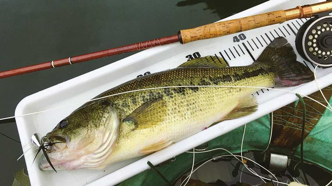 大田政宏さんのブラックバス用システム | TACKLE GUIDE | FlyFisher