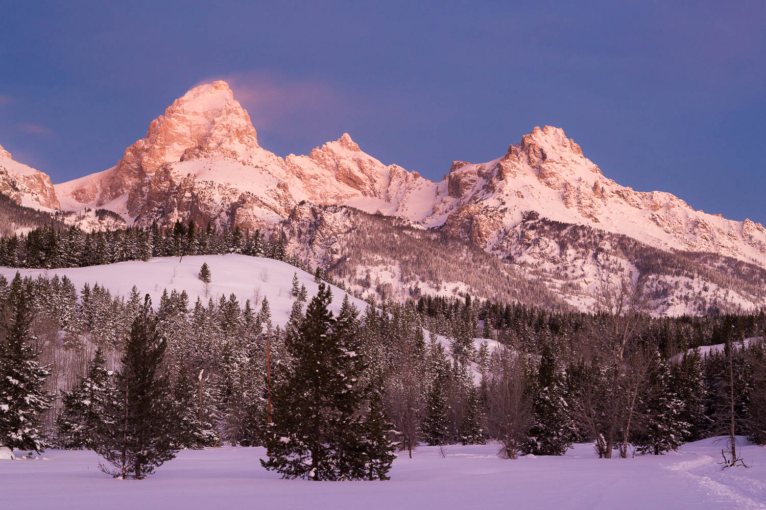 Best Winter Hikes in Grand Teton National Park - Free Roaming Hiker