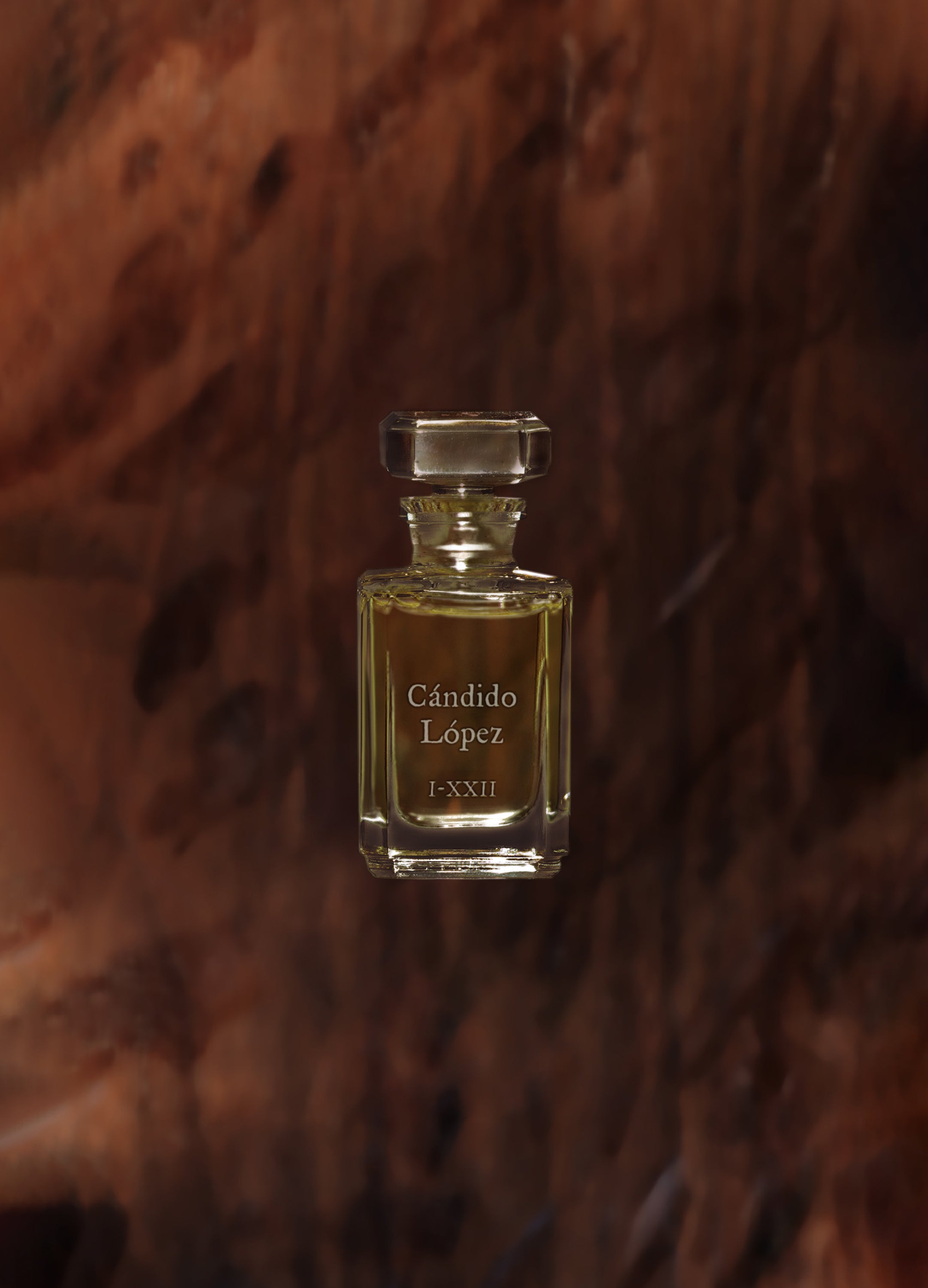 FUEGUIA 1833 | Cándido López｜カンディド ロペス – FUEGUIA 1833