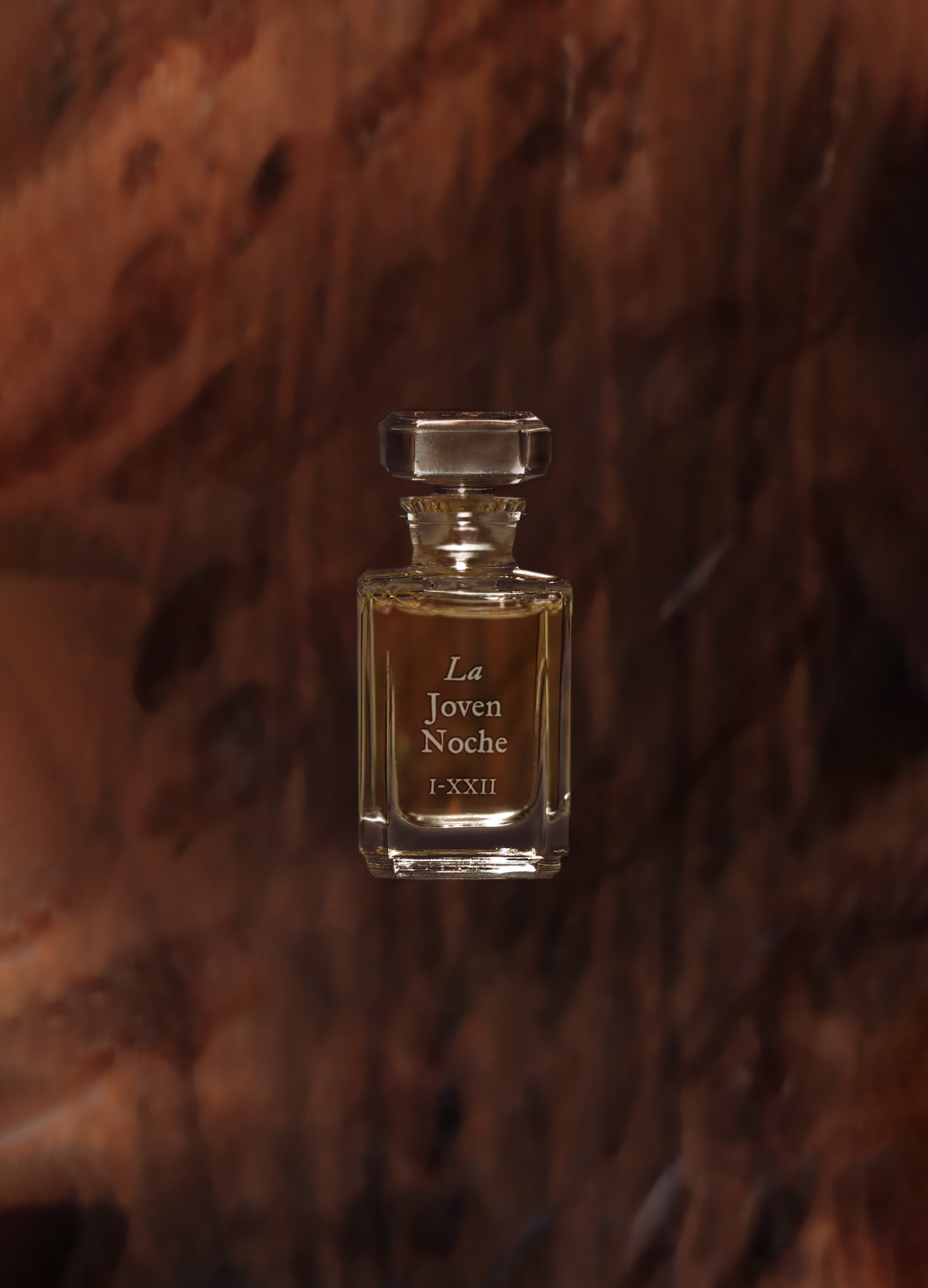 FUEGUIA 1833 | La Joven Noche｜ラ ホベン ノーチェ – FUEGUIA 1833