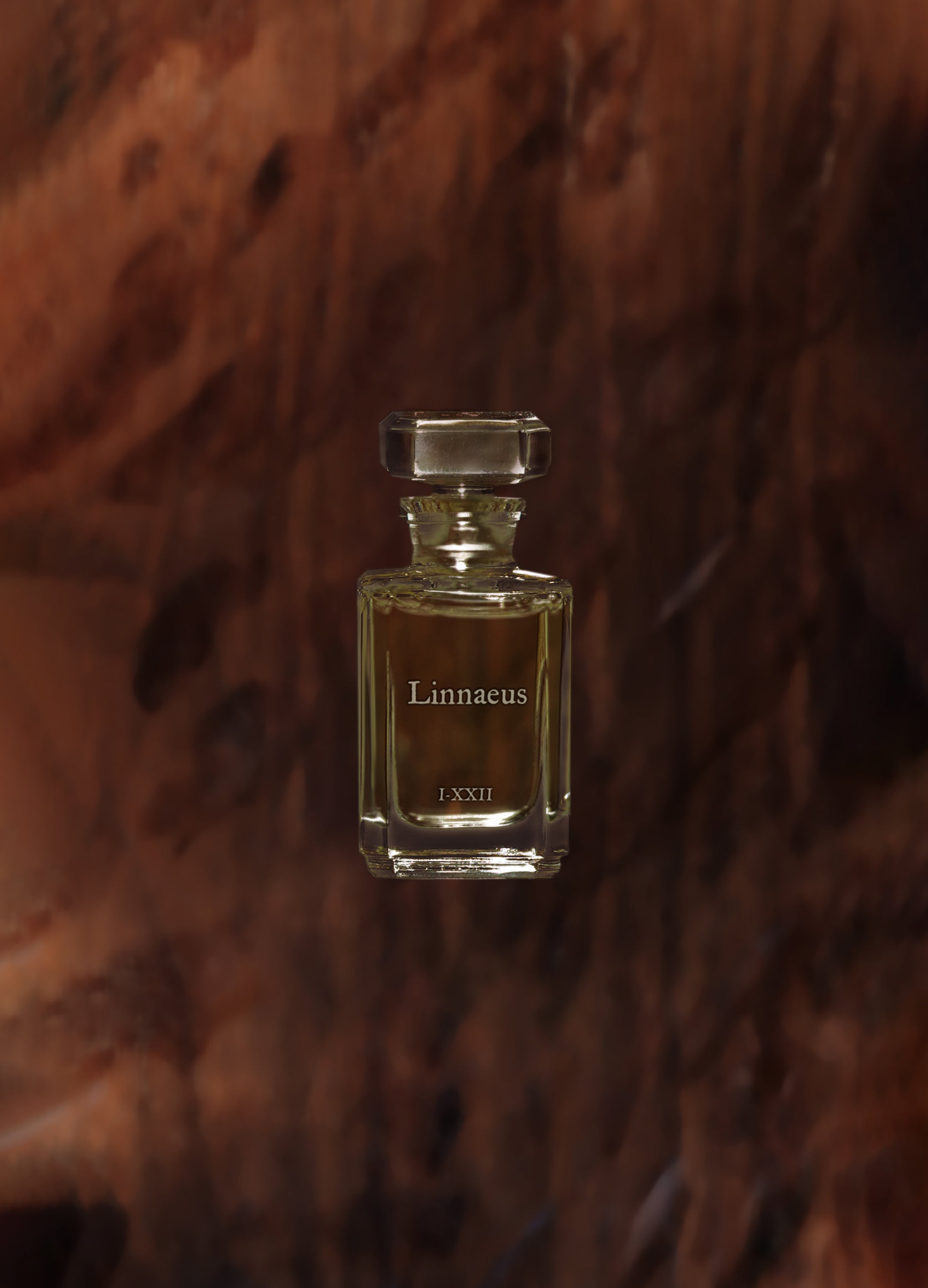 FUEGUIA 1833 | Linnaeus｜リンネウス – FUEGUIA 1833 Japan Online