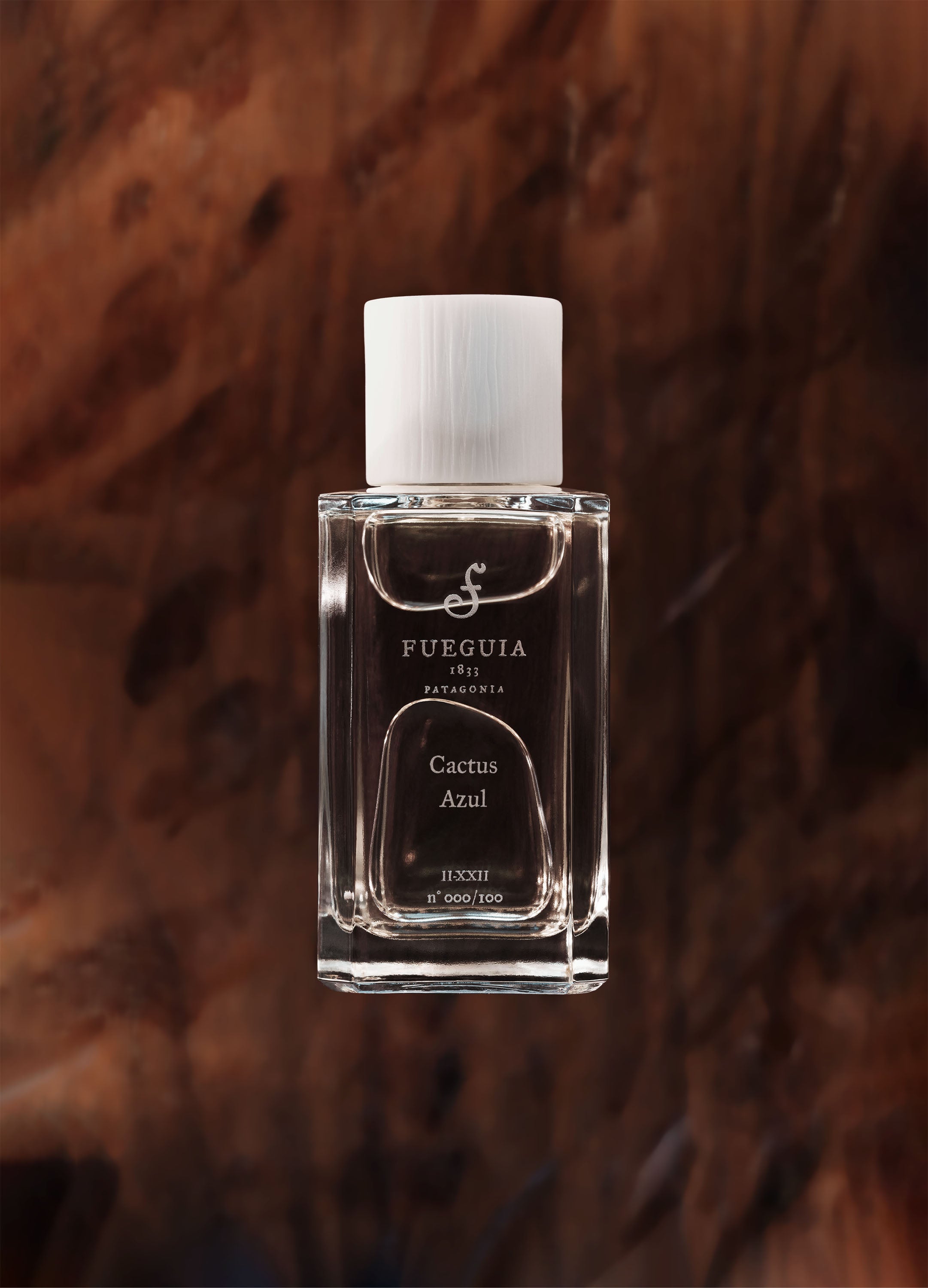 FUEGUIA 1833 | Cactus Azul｜カクトゥス アスール – FUEGUIA 1833