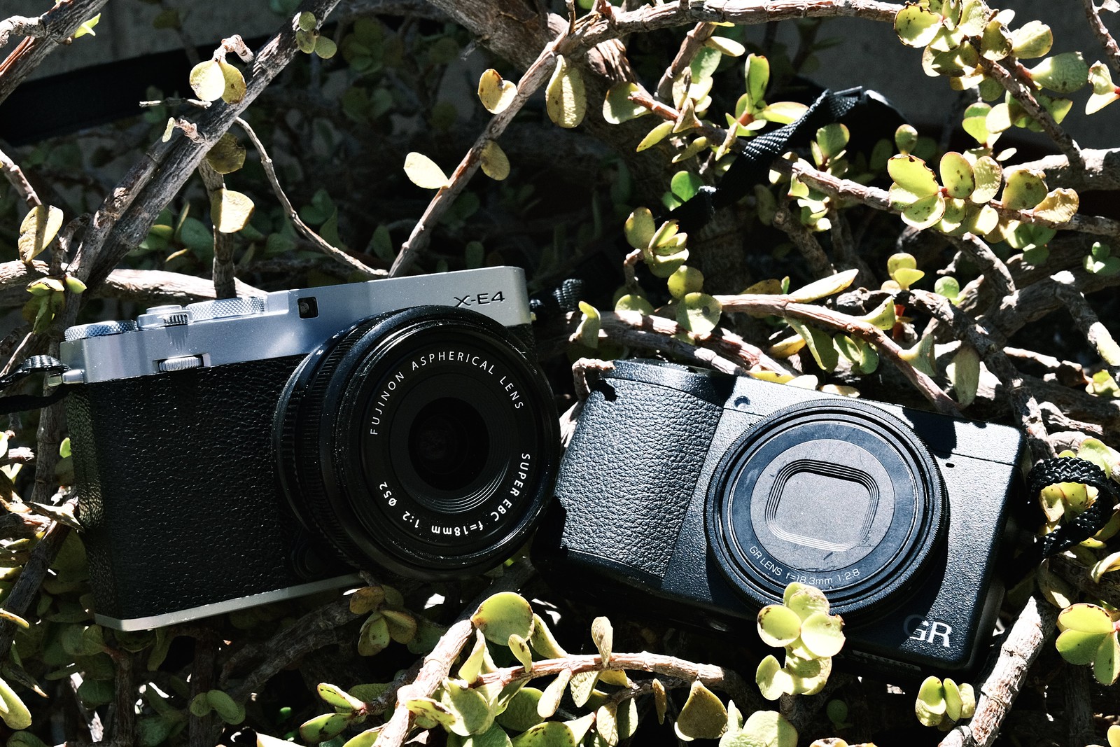 Ricoh GR IV in 2025?? | FUJI X WEEKLY