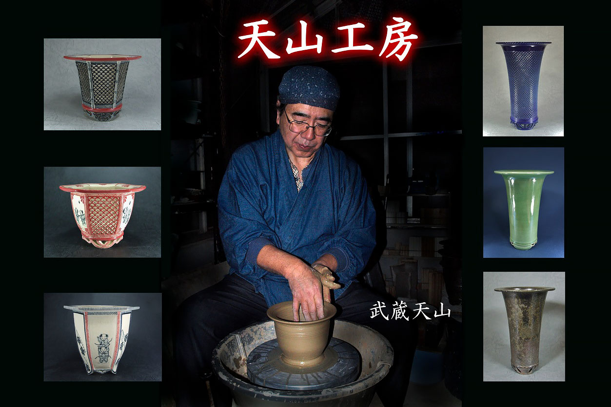 日本富貴蘭会 | 天山工房