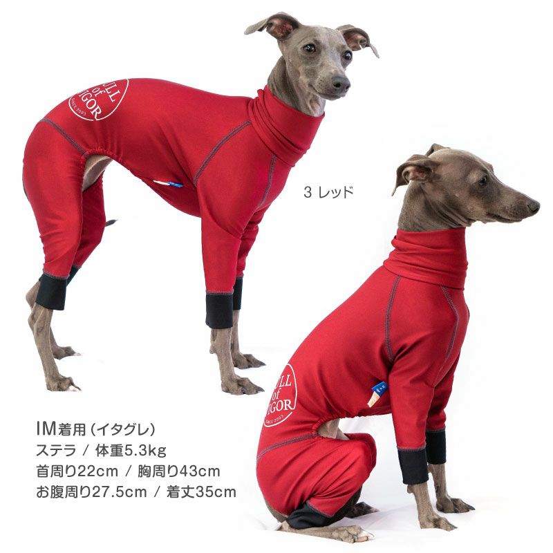 イタグレ用 伸びて 着せやすい ドッグプレイ(R) サークル プリント 撥