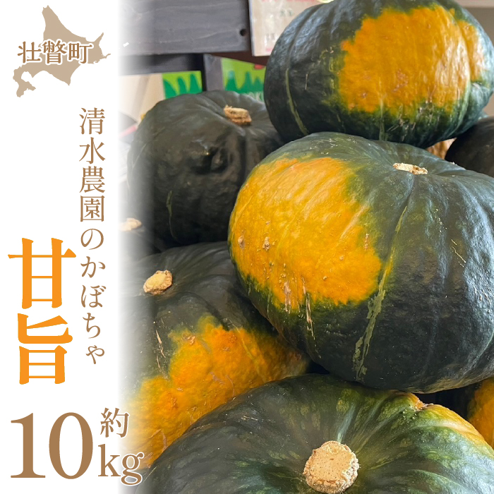2026年9月初旬よりお届け＞【農園直送】清水農園のかぼちゃ(甘旨）約