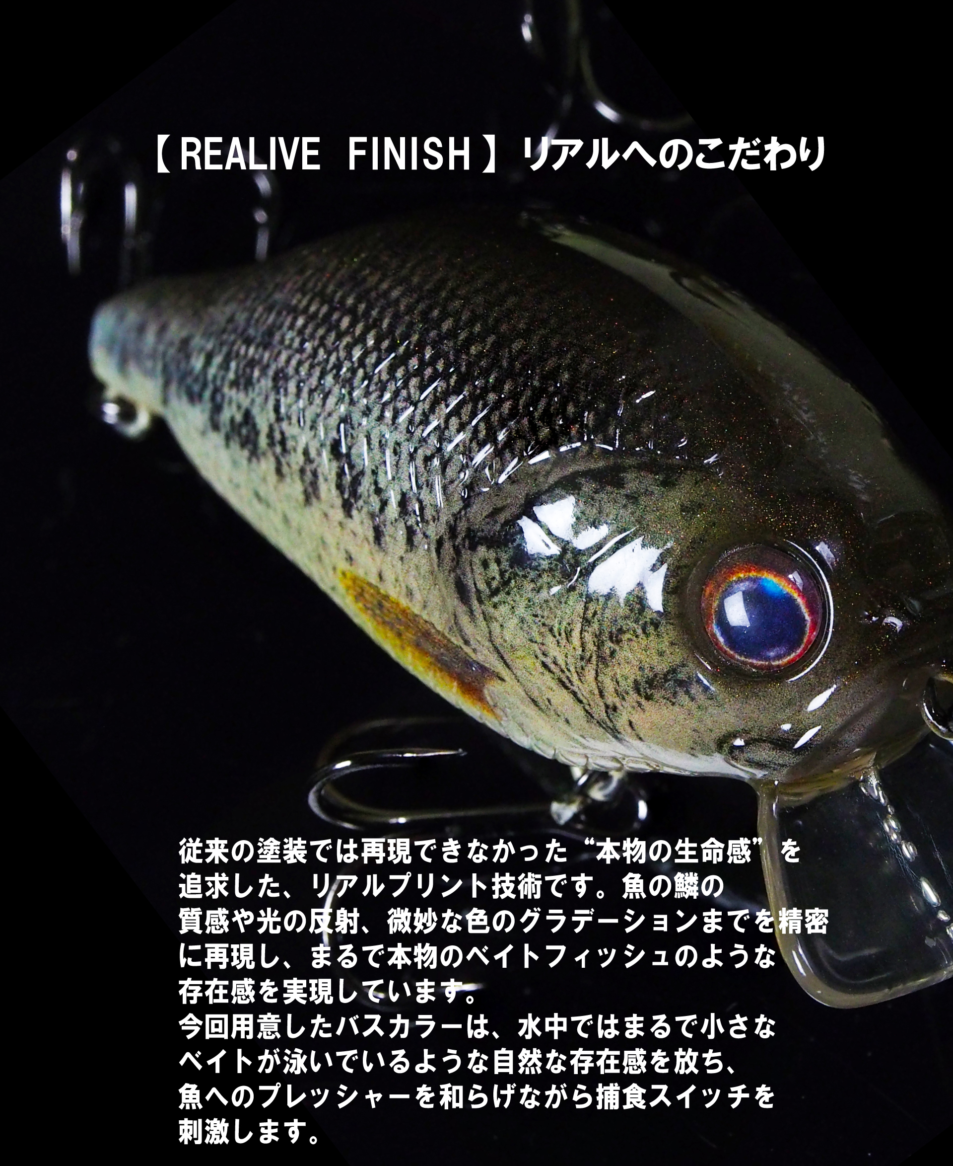 GAN CRAFT | 2025 z-bite-bass