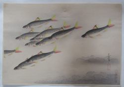 大野麦風/麥風のご紹介/麦風の新版画,木版画の販売、買取、ご処分は