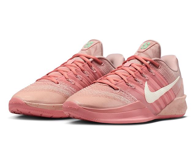 新品 NIKE ナイキ LEBRON XX EP DJ5422-002 Nike LeBron 20