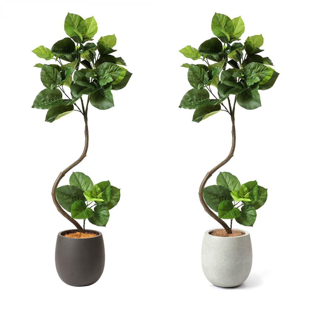 ウンベラータ 高さ154cm (フェイクグリーン フロアグリーン 観葉植物