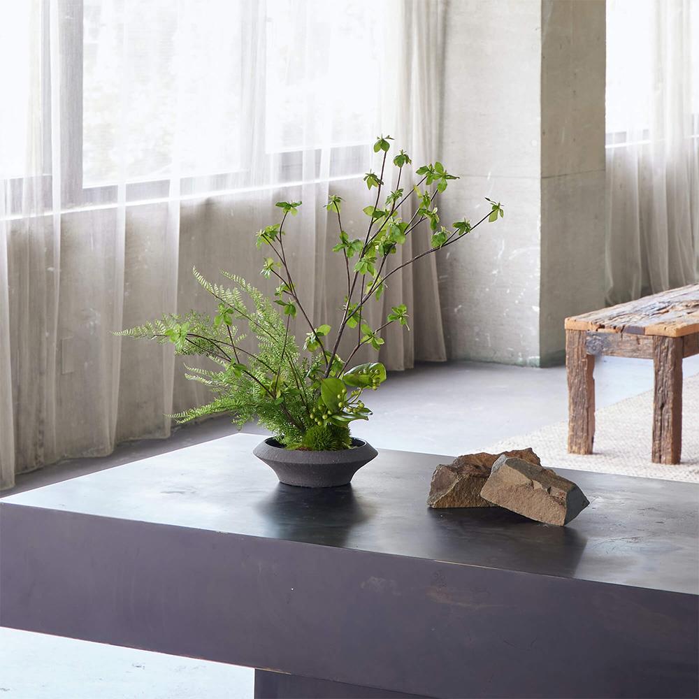 寄せ植え盆栽 平皿 ドウダンツツジ (フェイクグリーン テーブル