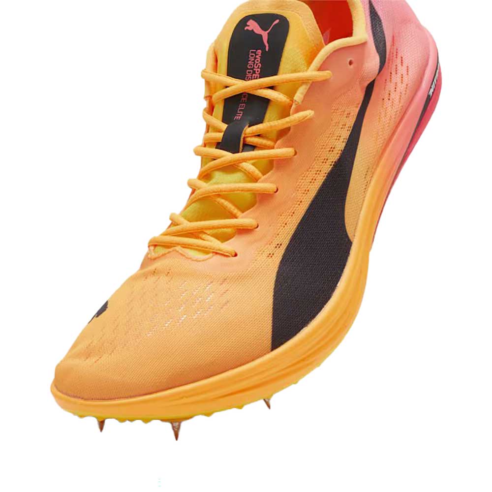 Men's Evospeed Long Distance Nitro Elite 2 Spike - Sun Stream