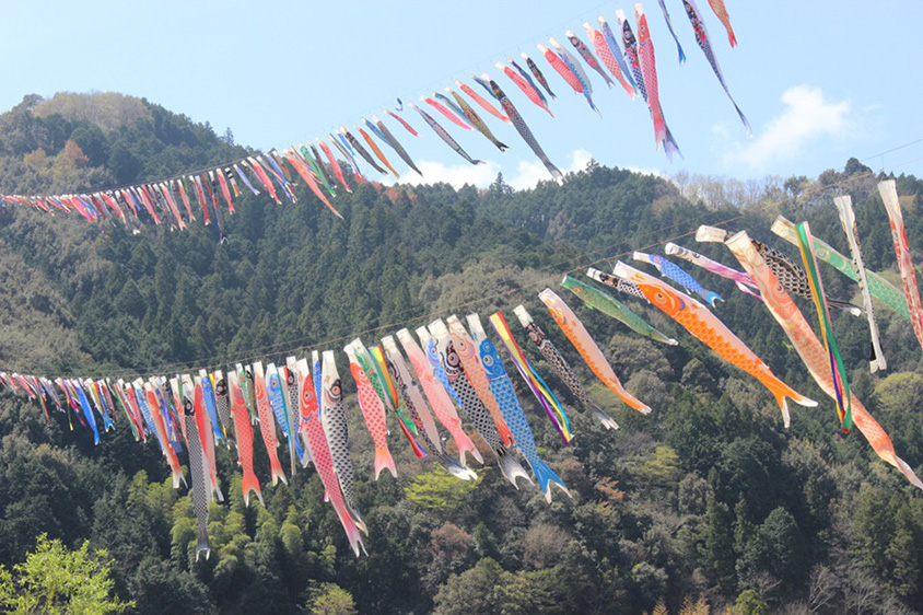 清流・四万十川の川面を500匹が舞う！毎年恒例「こいのぼりの川渡し