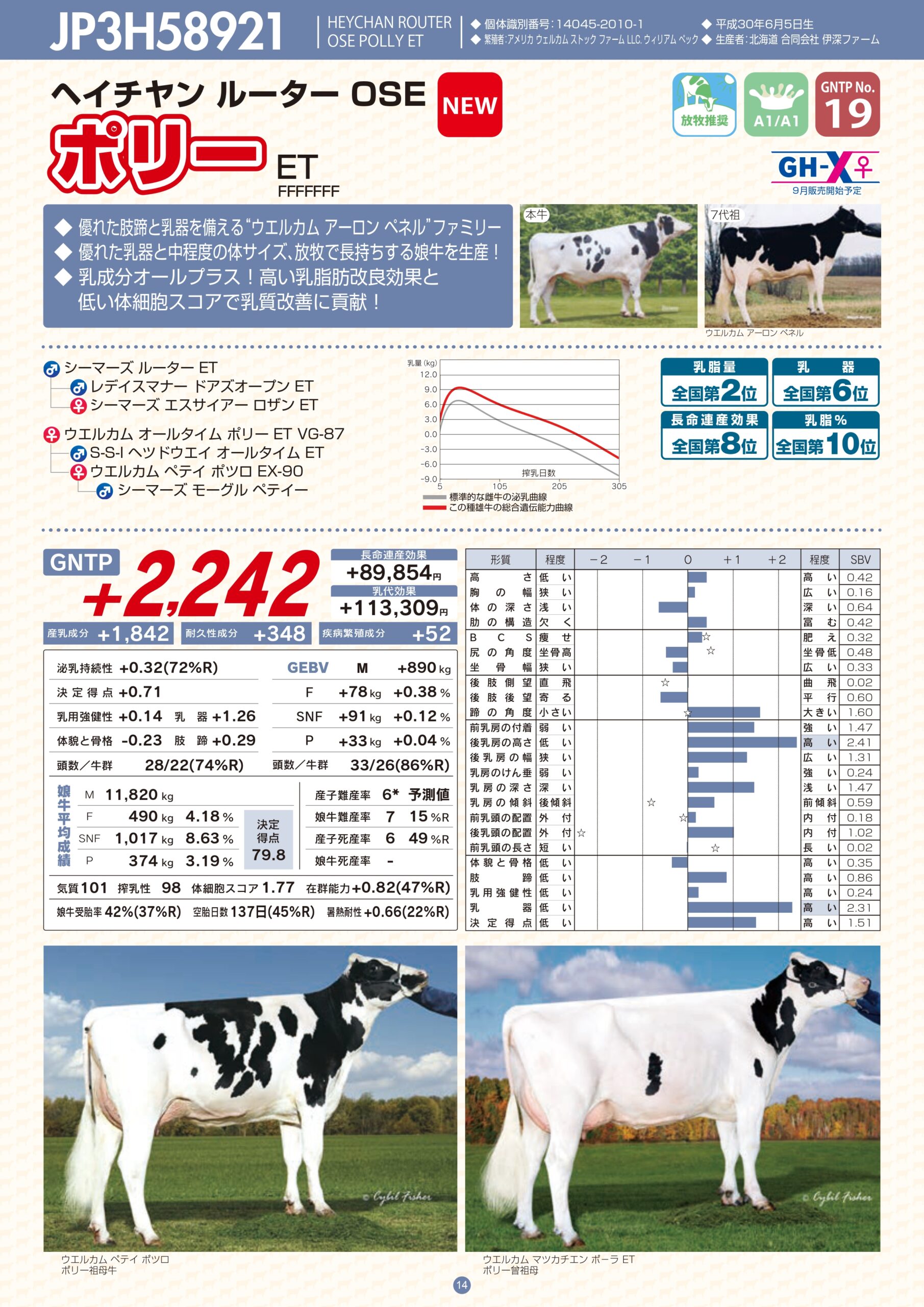 2023年8月 新規検定済ホルスタイン種雄牛紹介 | GH-CONTENT