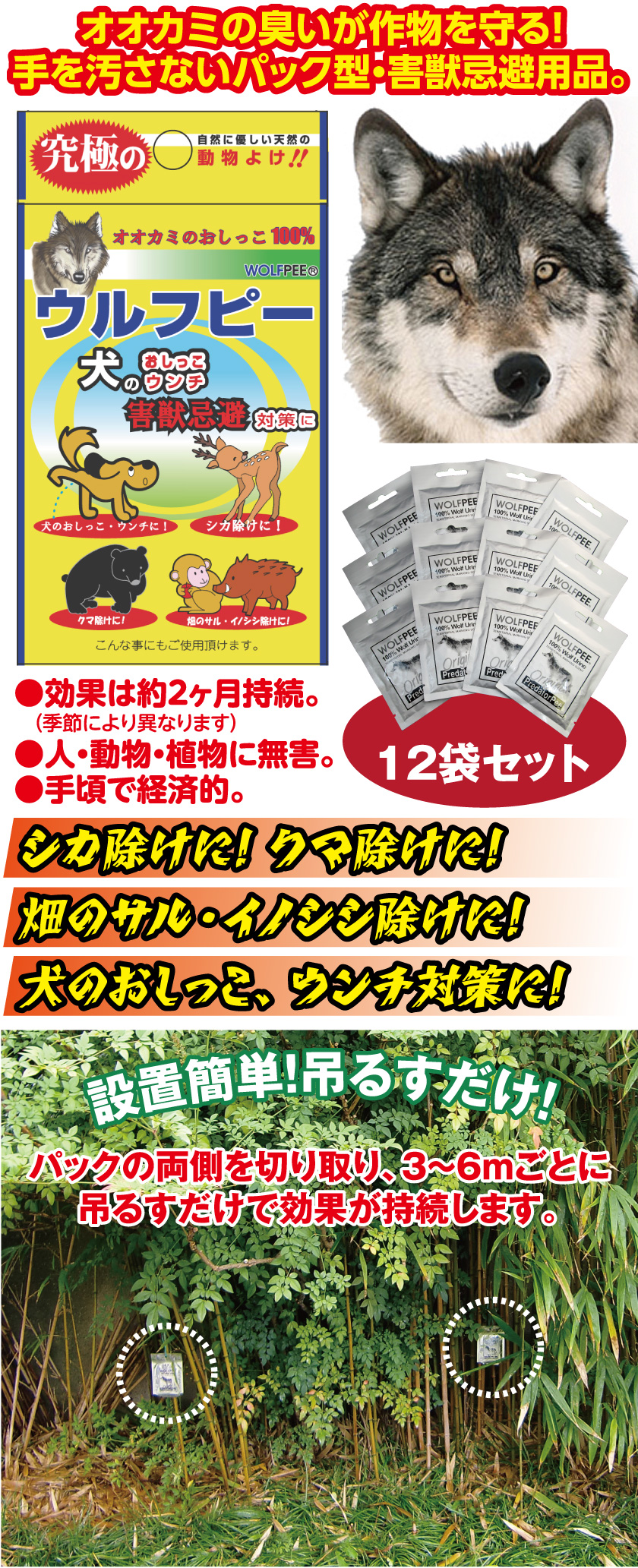 ウルフピー3箱セット（1箱4袋入）│身近な優れものショップ