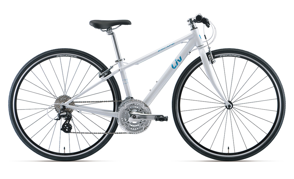 Liv】女性向けのクロスバイクご紹介です♡ ｜ ジャイアントストア聖蹟