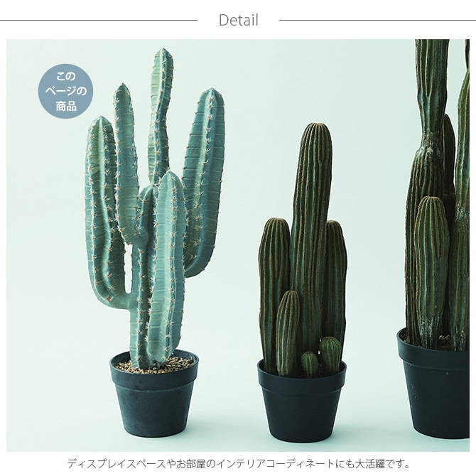 Brown. ブラウン 柱サボテン ポット 76 | 商品種別,グリーン,フェイク