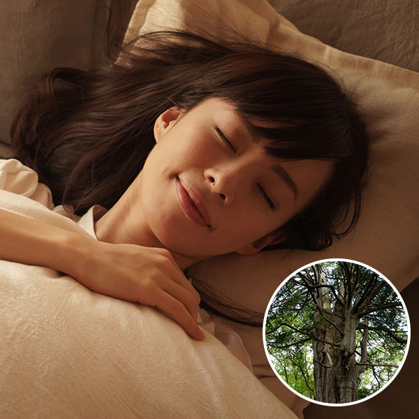 特集】新生活応援｜エッセンシャルオイル（精油・アロマオイル）の通販