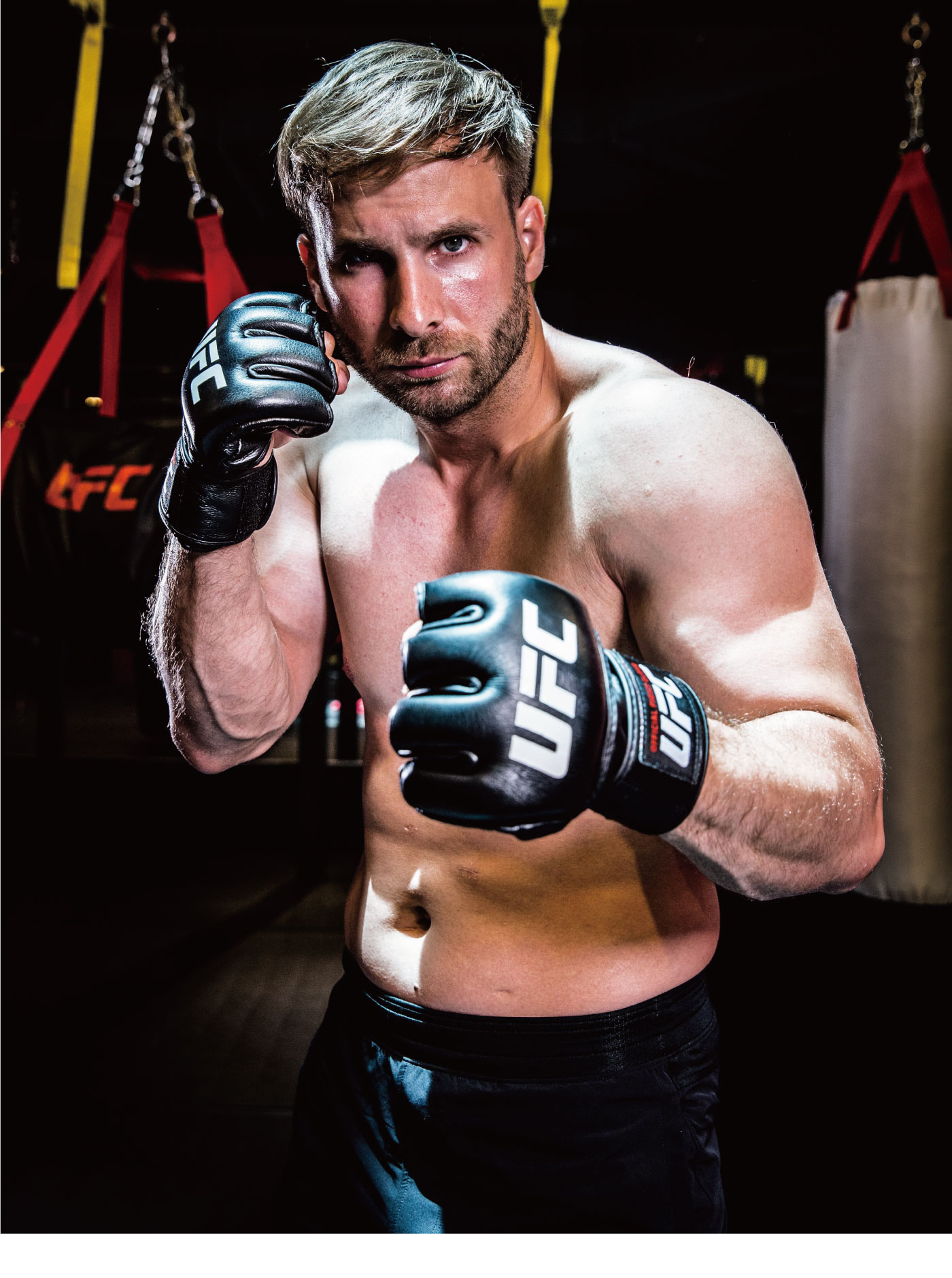 UFCオフィシャルファイトグローブ〈L・XLサイズ〉｜トレーニング