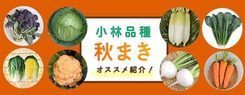 野菜の種や苗｜小林種苗公式通販】日本最大級の2万種類の豊富な品揃え
