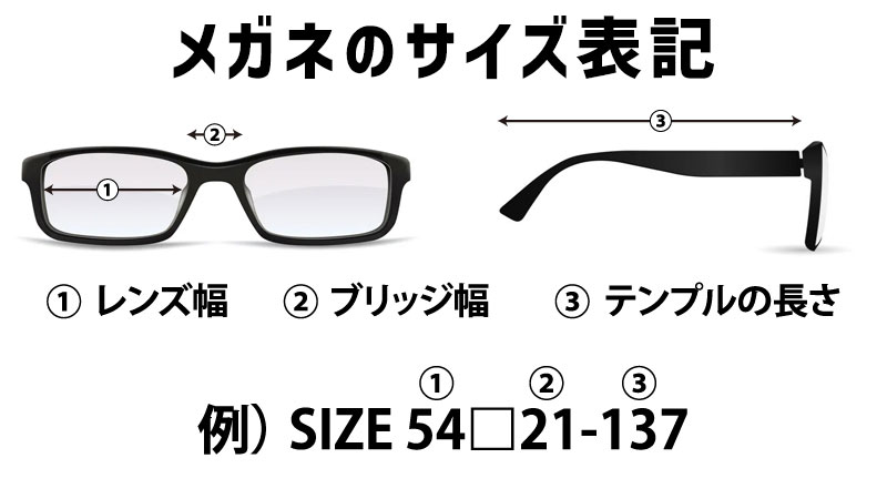 Eyevol LEIFER3 (49) GRY-LY-M.GY PL サングラス 正規販売店