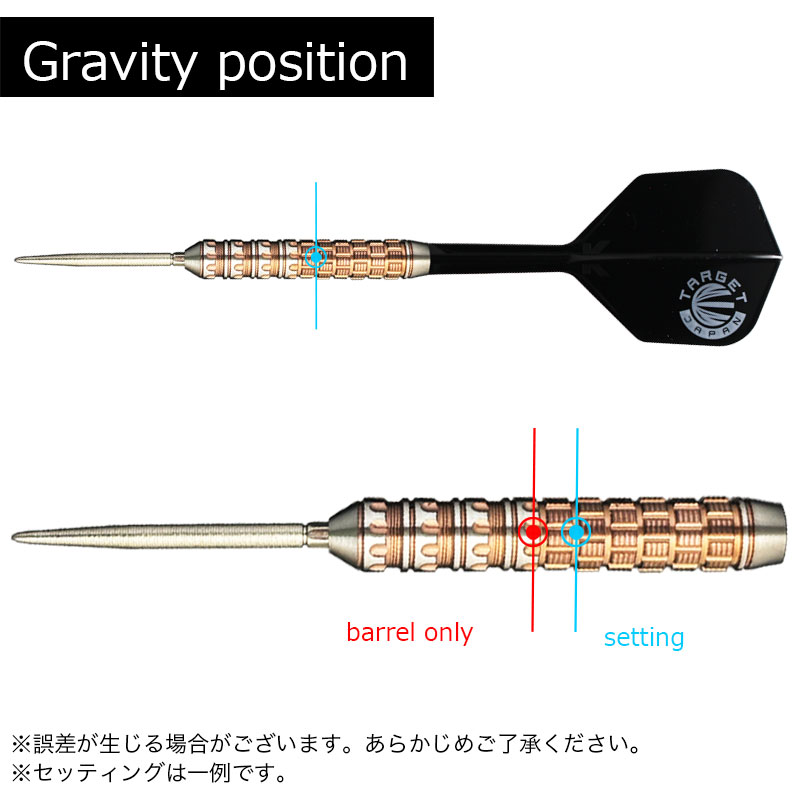 ターゲット ラプター G6 西谷譲二 スイスポイント 24g TARGET RAPTOR