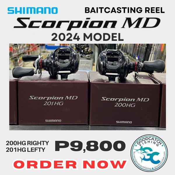 NEW SHIMANO SCORPION MD 2024 MODEL BAITCASTING REEL – Goodcatch