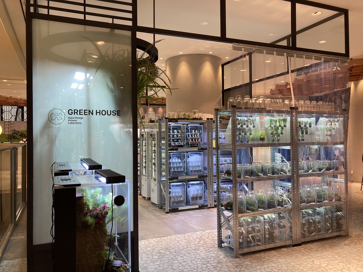 ガラスケース×LEDで植物栽培！ ｢パルダリウム｣ポップアップを期間限定